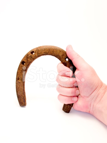 bridle hand