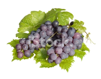 grape clusters