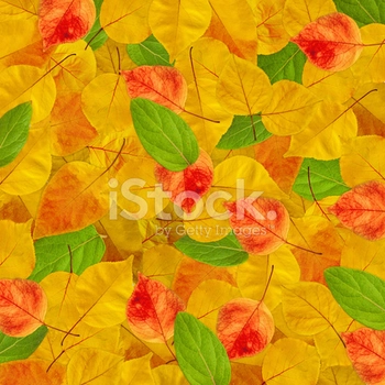 Autumn Background