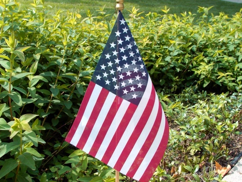 American Flag With Greens