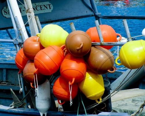 boat and bouy