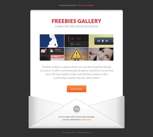 Email Newsletter Template