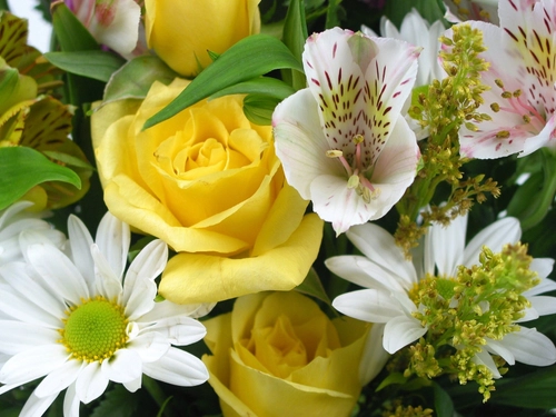 Flower Bouquet (close up)