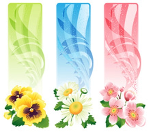 Flower banners vector