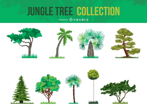 Jungle Leaves Vector Set