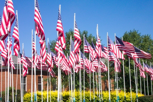 Lane of 50 Flags