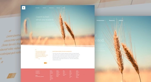 Organic - Free Website PSD Template