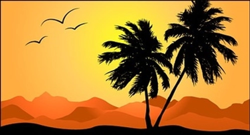 Palm tree in sunset