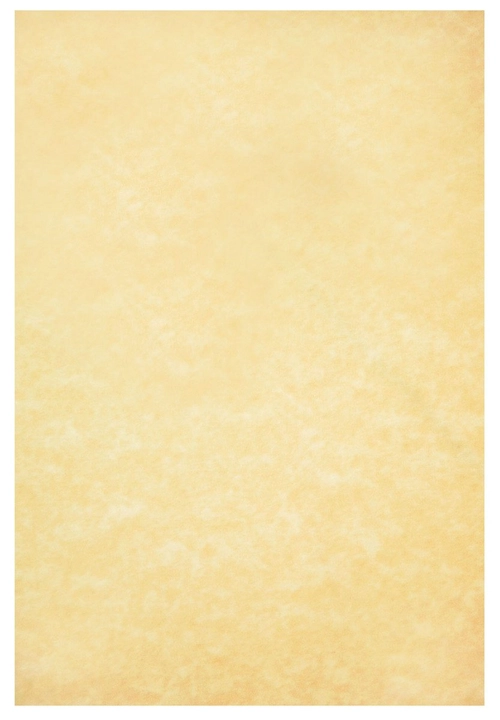 Parchment Paper