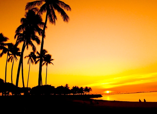 Waikiki Sunset