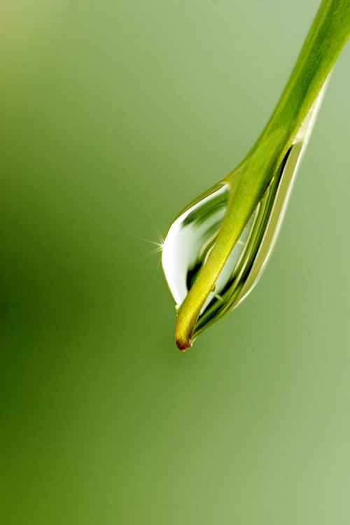 Water Drop