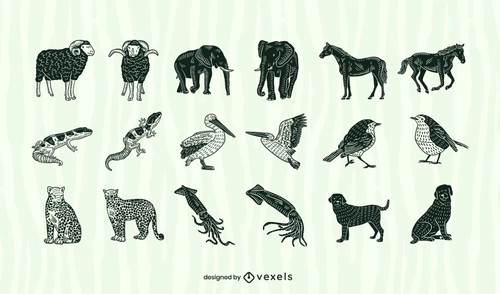 Zoo Cut Outs