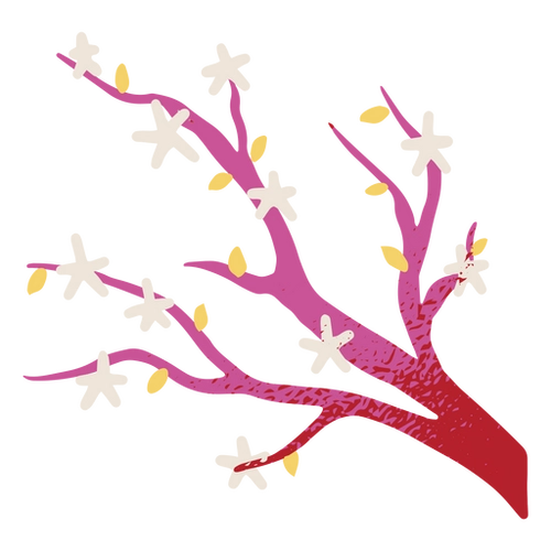 Cherry Blooms PNG Art