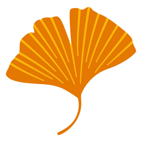 Ginkgo Leaf Branch PNG Flora