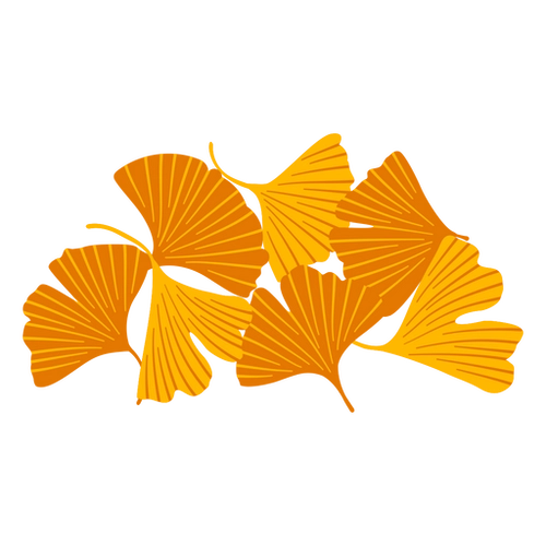 Ginkgo Yellow Leaf Vector PNG