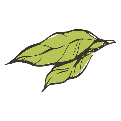 Green Leafy Branch PNG