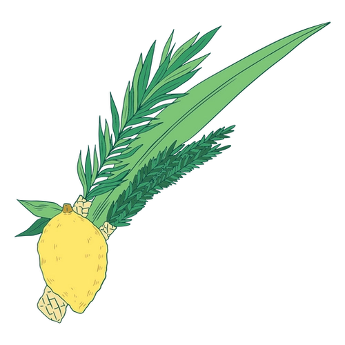 Lemon Grove PNG Illustration