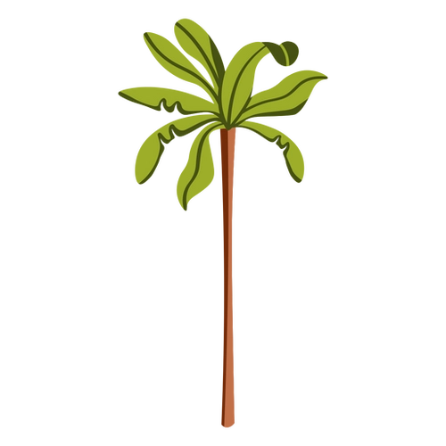 Palm Tree Flat Summer PNG