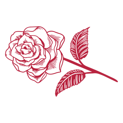 Romantic Red Rose Floral PNG