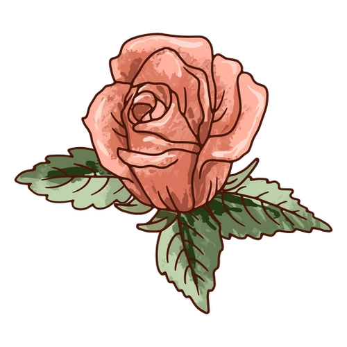 Rose Icon Nature PNG