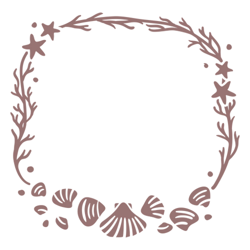 Seashell Starry Frame PNG