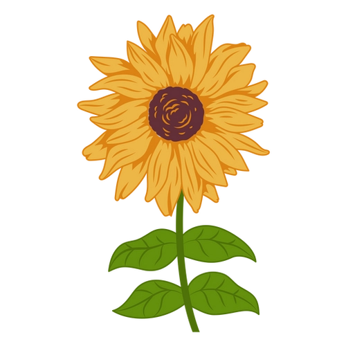 Sunflower Bloom Landscape PNG