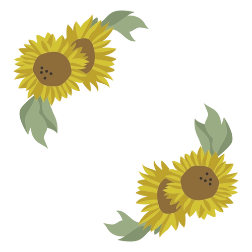 Sunflower Border Floral PNG