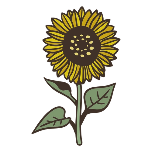 Sunshine Floral PNG Design