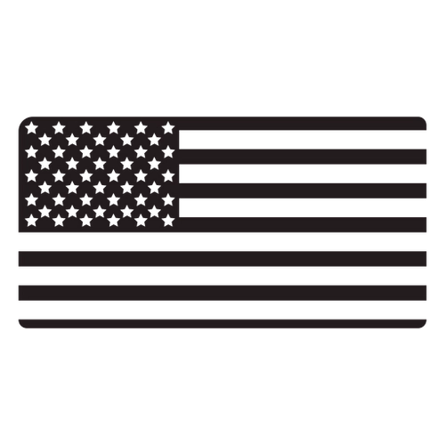 USA Travel Flag PNG