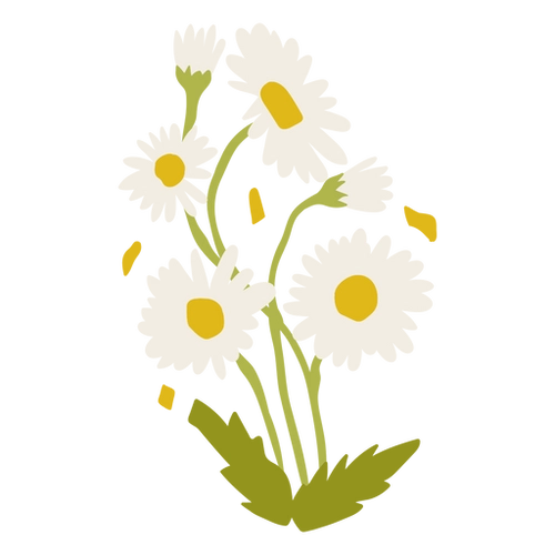 Vectorial Daisy Floral PNG Art