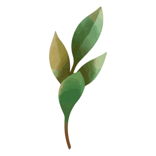 Watercolor Leaf Branch PNG Design